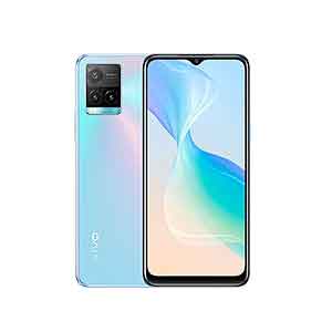 Vivo Y33s Price in Nepal