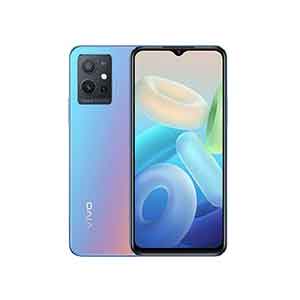 vivo Y55 5G Price in Nepal