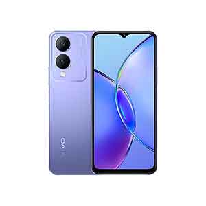 Vivo Y17s Price in Nepal